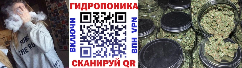 Купить закладку A-PVP  Канабис  COCAIN  Меф  ГАШИШ  Боровичи
