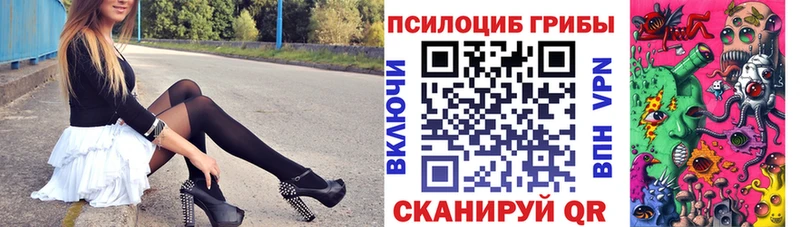 Галлюциногенные грибы Cubensis Купить закладки Боровичи